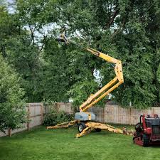 Best Stump Grinding and Removal  in Ladson, SC