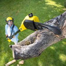 Best Lawn Disease Treatment  in Ladson, SC